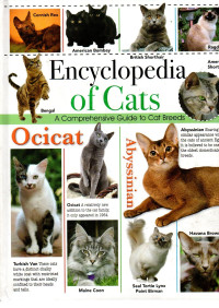 Image of Encyclopedia of Cats: A Comprehensive Guide To Cat Breeds