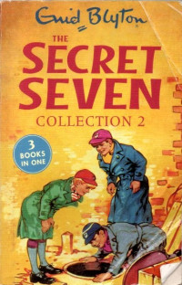 Image of The Secret Seven
