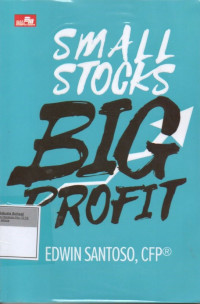 Image of Small Stocks: Big Profit
